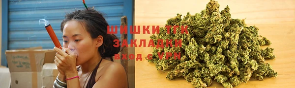 хмурый Инта
