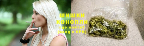 индика Надым
