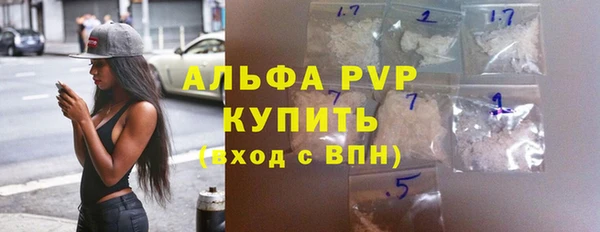 индика Надым