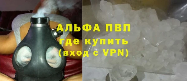 индика Надым