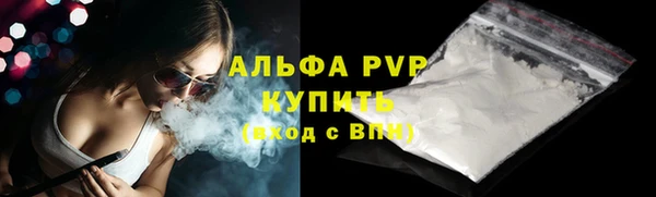 амф Сосновый Бор