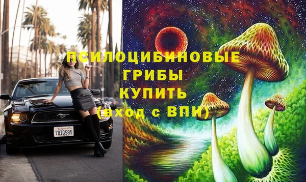 амф Сосновый Бор