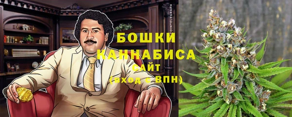 PSILOCYBIN Сосновоборск