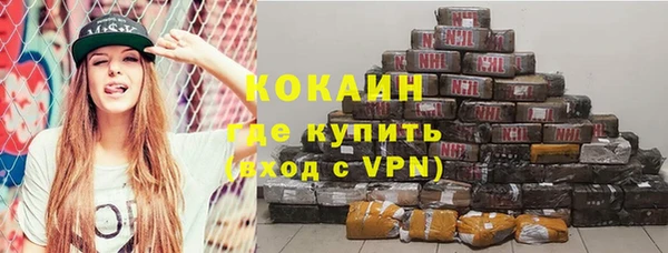 индика Надым