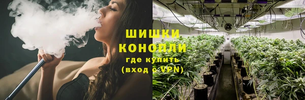 спиды Михайловка