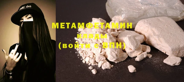 индика Надым