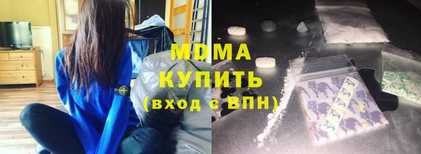 индика Надым