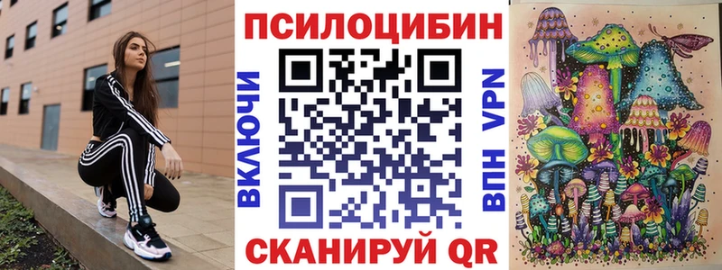 Галлюциногенные грибы Psilocybine cubensis Алейск