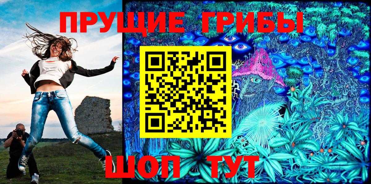 Псилоцибиновые грибы Cubensis Алейск