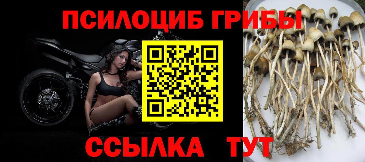 Алейск  Псилоцибиновые грибы Psilocybine cubensis  наркотики  Вход с VPN  Галлюциногенные грибы Magic Shrooms 