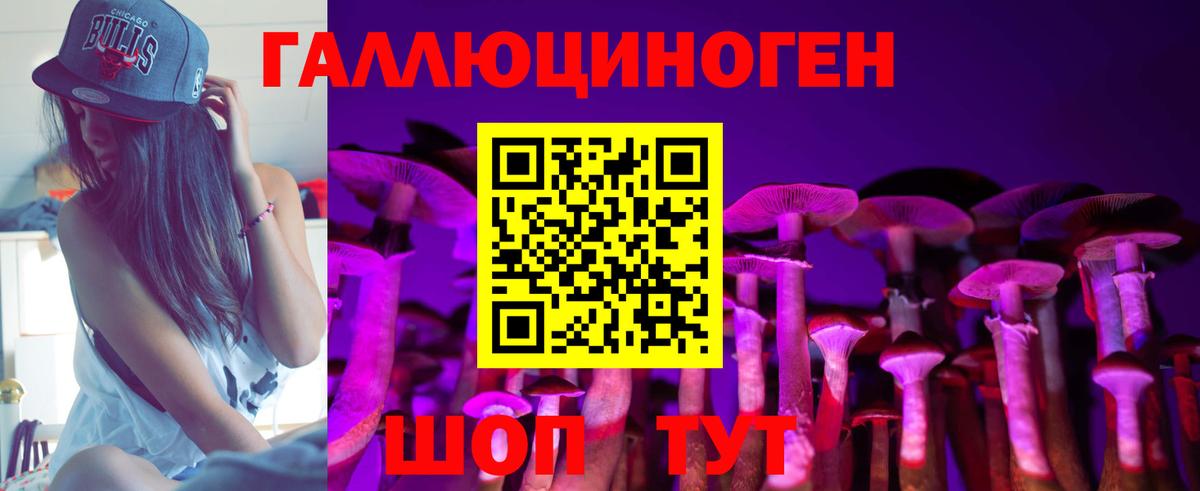 Псилоцибиновые грибы мухоморы  Алейск  Галлюциногенные грибы мицелий 