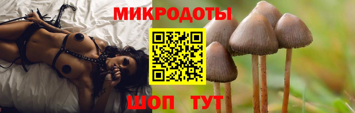 Галлюциногенные грибы мухоморы  Вход с VPN  Алейск 