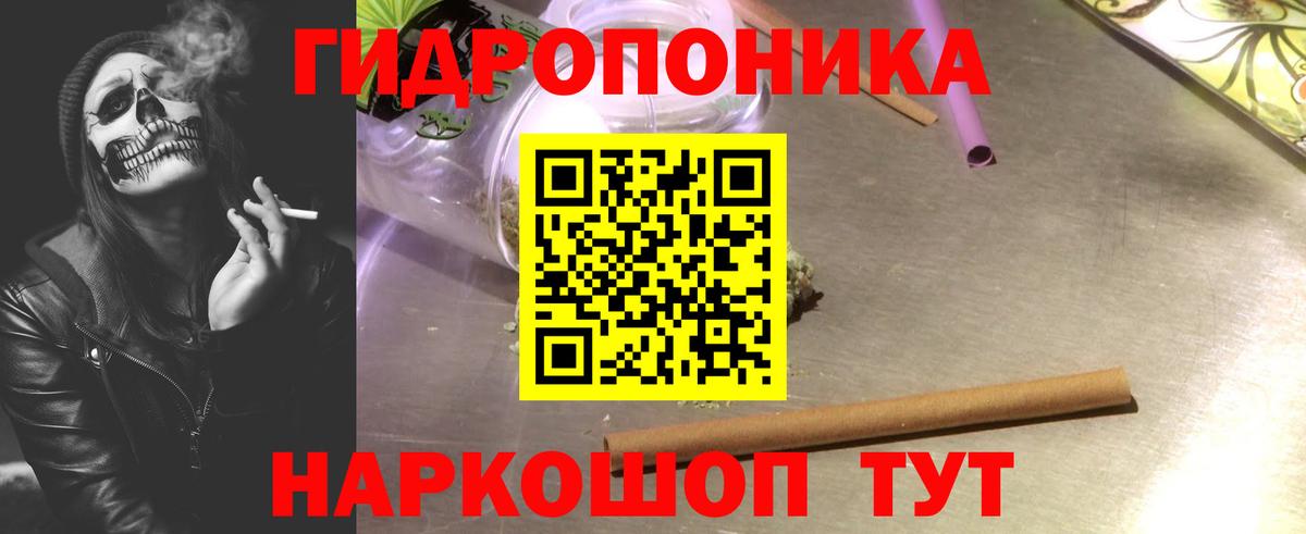 Бошки Шишки планчик Алейск